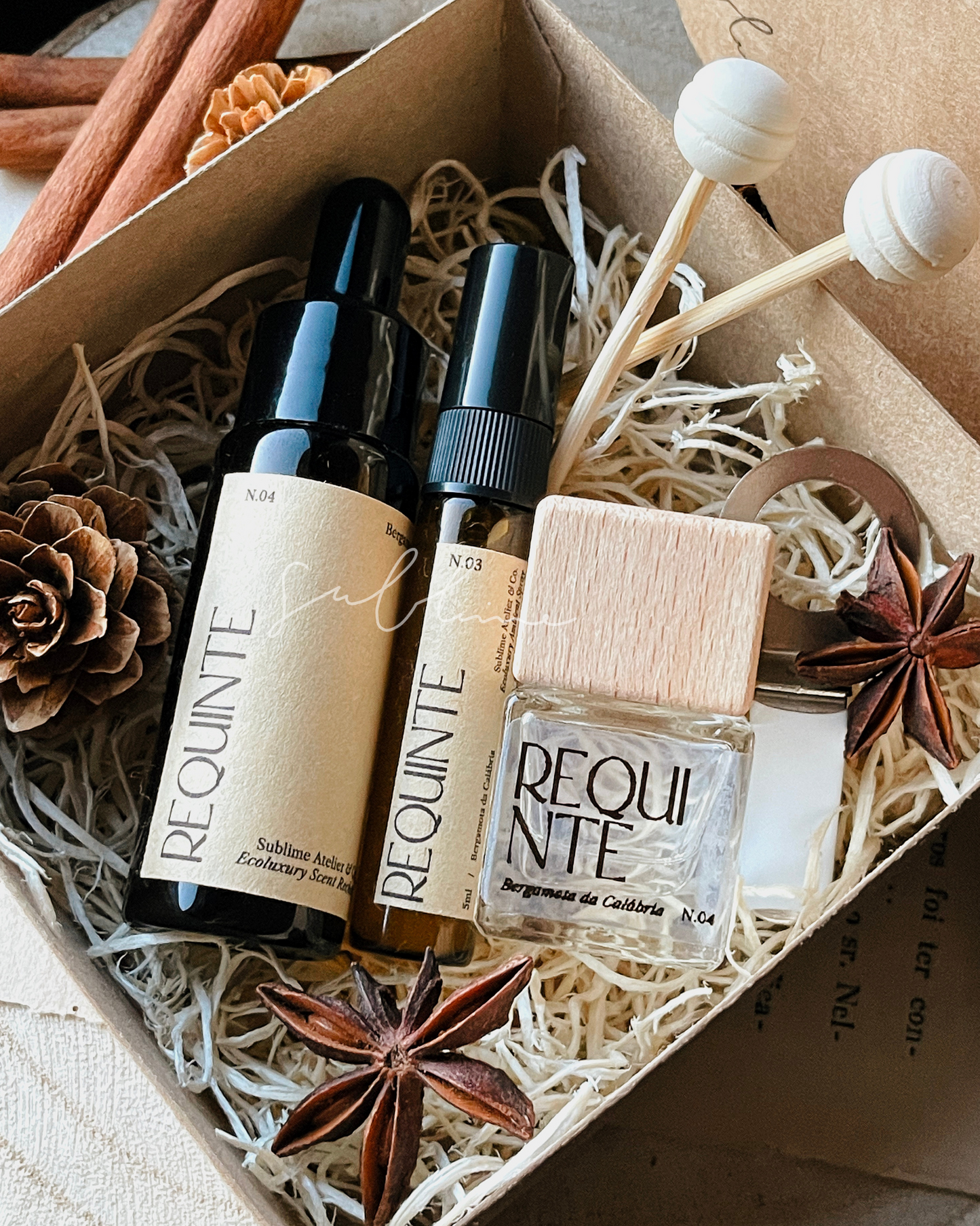 Coffret Aromático para Carro – Difusor de Varetas, Refil e Perfume de Ambiente (ÚLTIMAS UNIDADES)