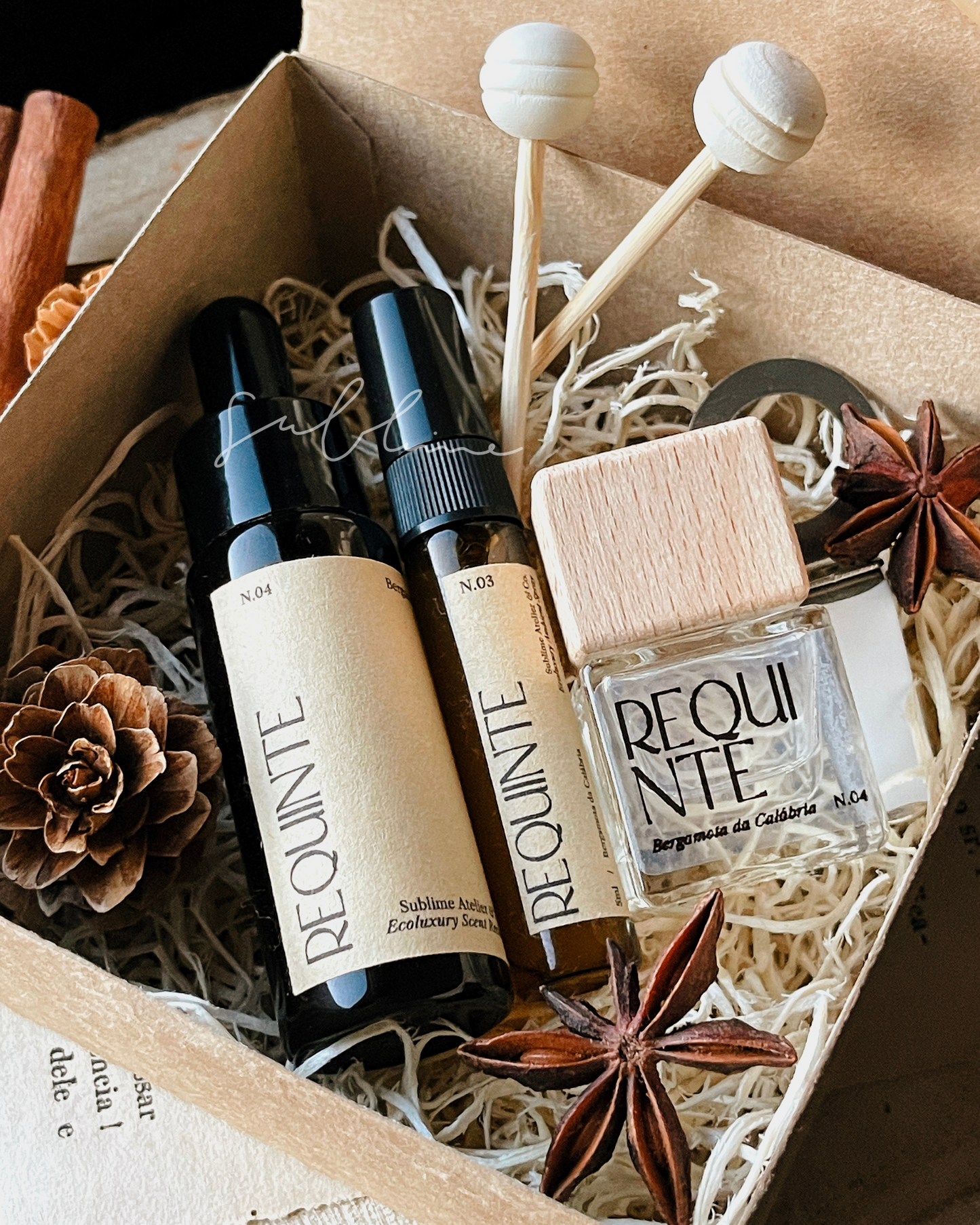 Coffret Aromático para Carro – Difusor de Varetas, Refil e Perfume de Ambiente (ÚLTIMAS UNIDADES)