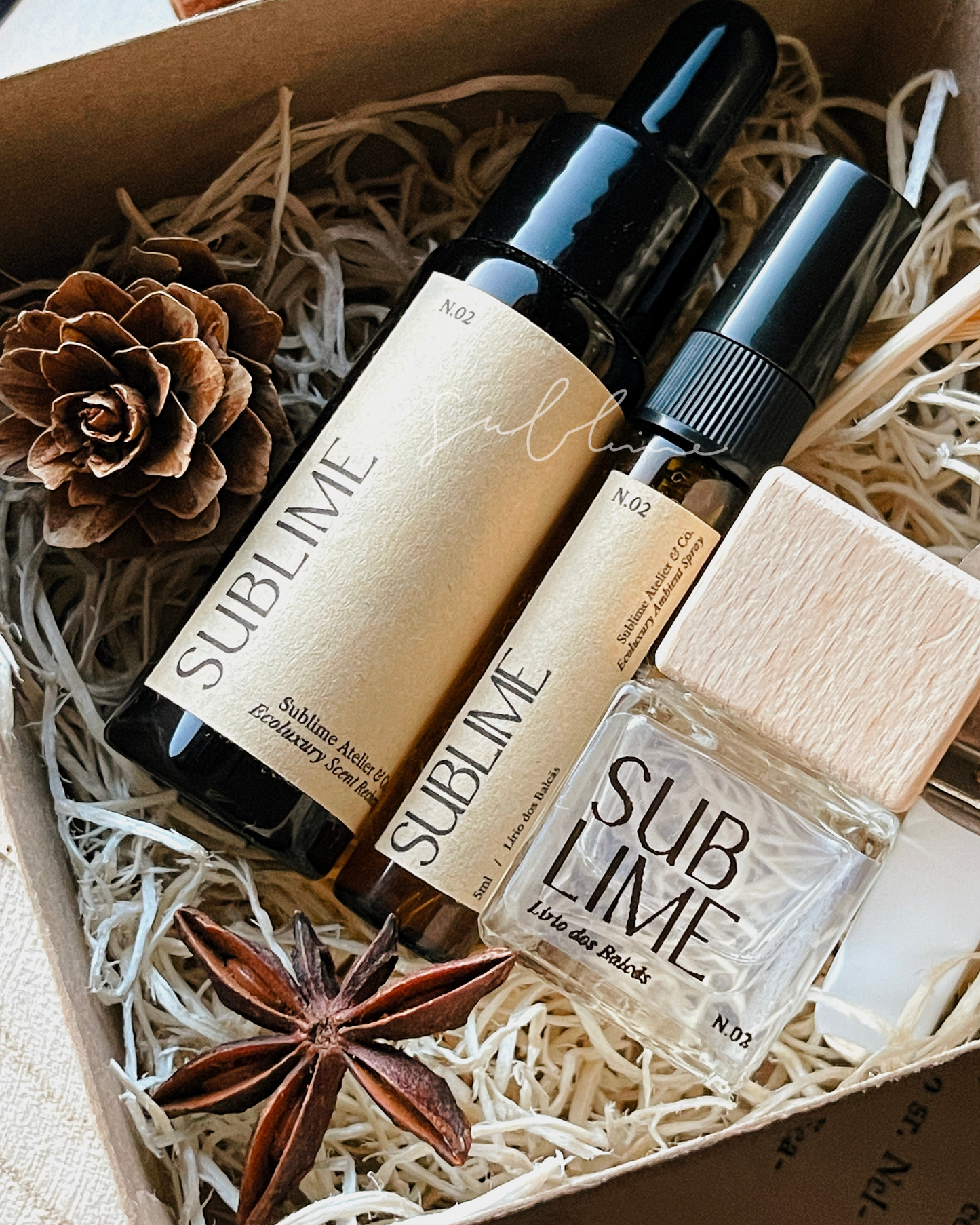 Coffret Aromático para Carro – Difusor de Varetas, Refil e Perfume de Ambiente (ÚLTIMAS UNIDADES)