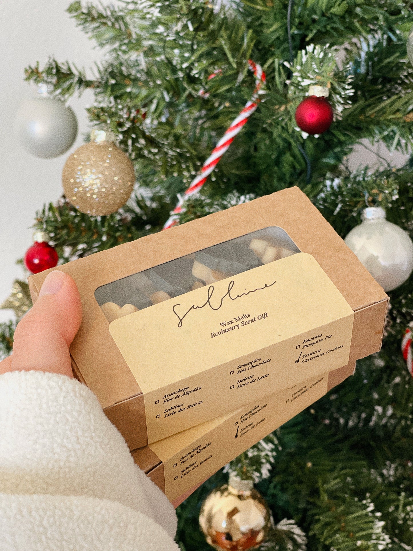 Wax Melts Cera Ultra Perfumada para Derretimento | n°12 Ternura - Biscoitos de Natal