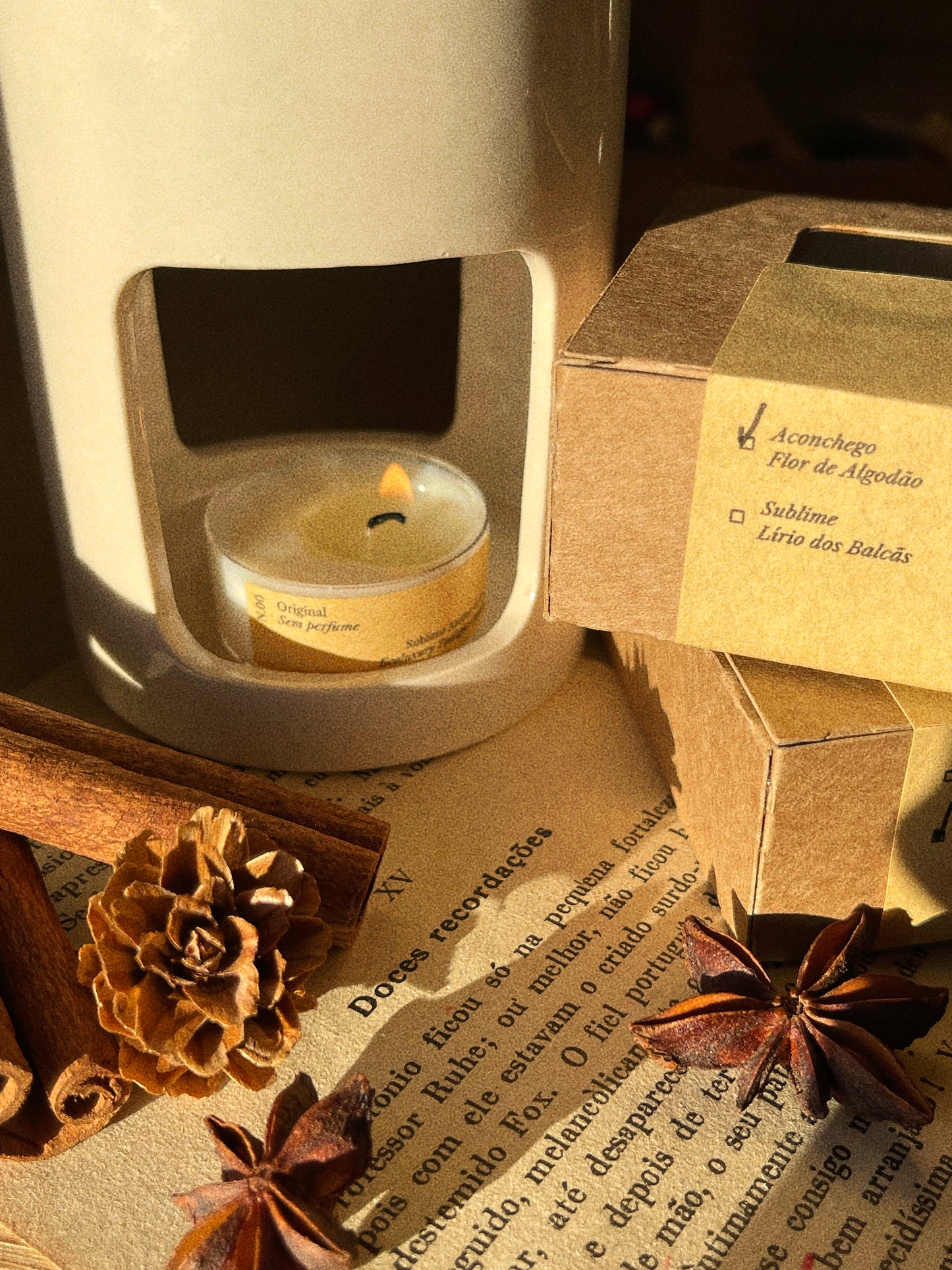 Wax Melts Cera Ultra Perfumada para Derretimento | n°01 Aconchego - Flor de Algodão