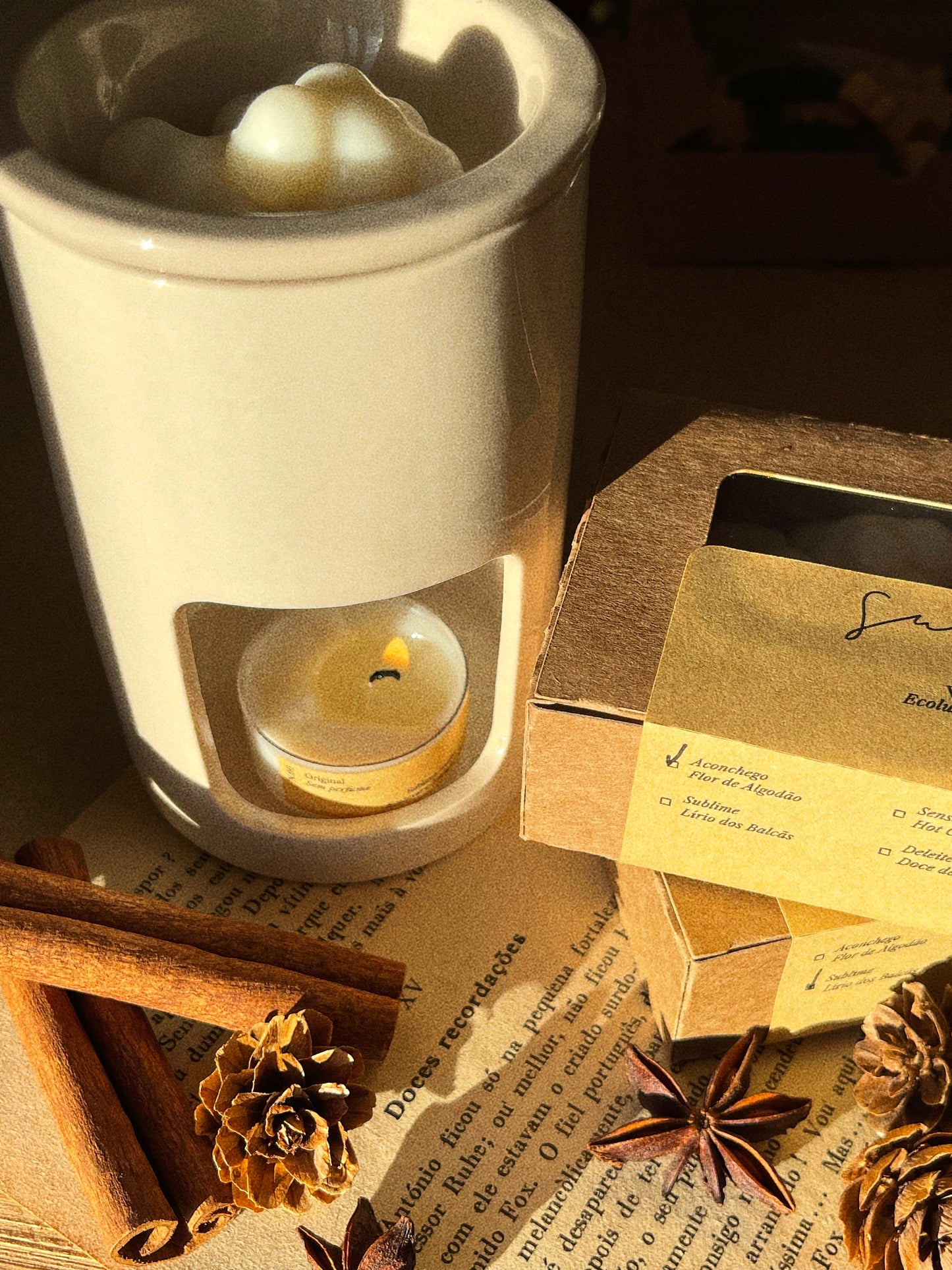 Wax Melts Cera Ultra Perfumada para Derretimento | n°01 Aconchego - Flor de Algodão
