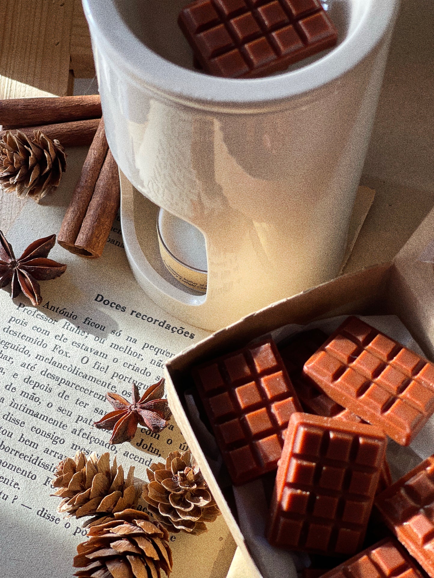Wax Melts Cera Ultra Perfumada para Derretimento | n°11 Sensações - Chocolate Quente