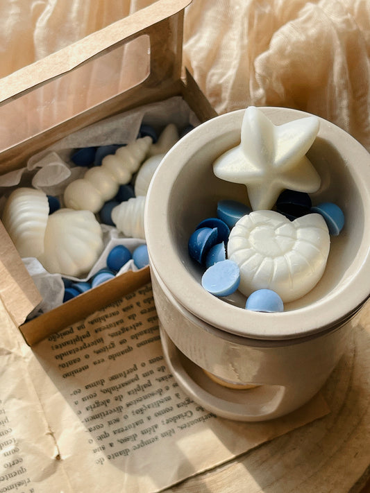 Wax Melts Cera Ultra Perfumada para Derretimento | n°07 Amar - Coco e Limão Siciliano