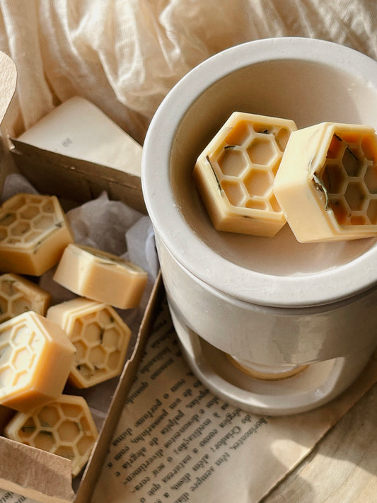 Wax Melts Cera Ultra Perfumada para Derretimento | n°08 Essência - Citronela e Alecrim