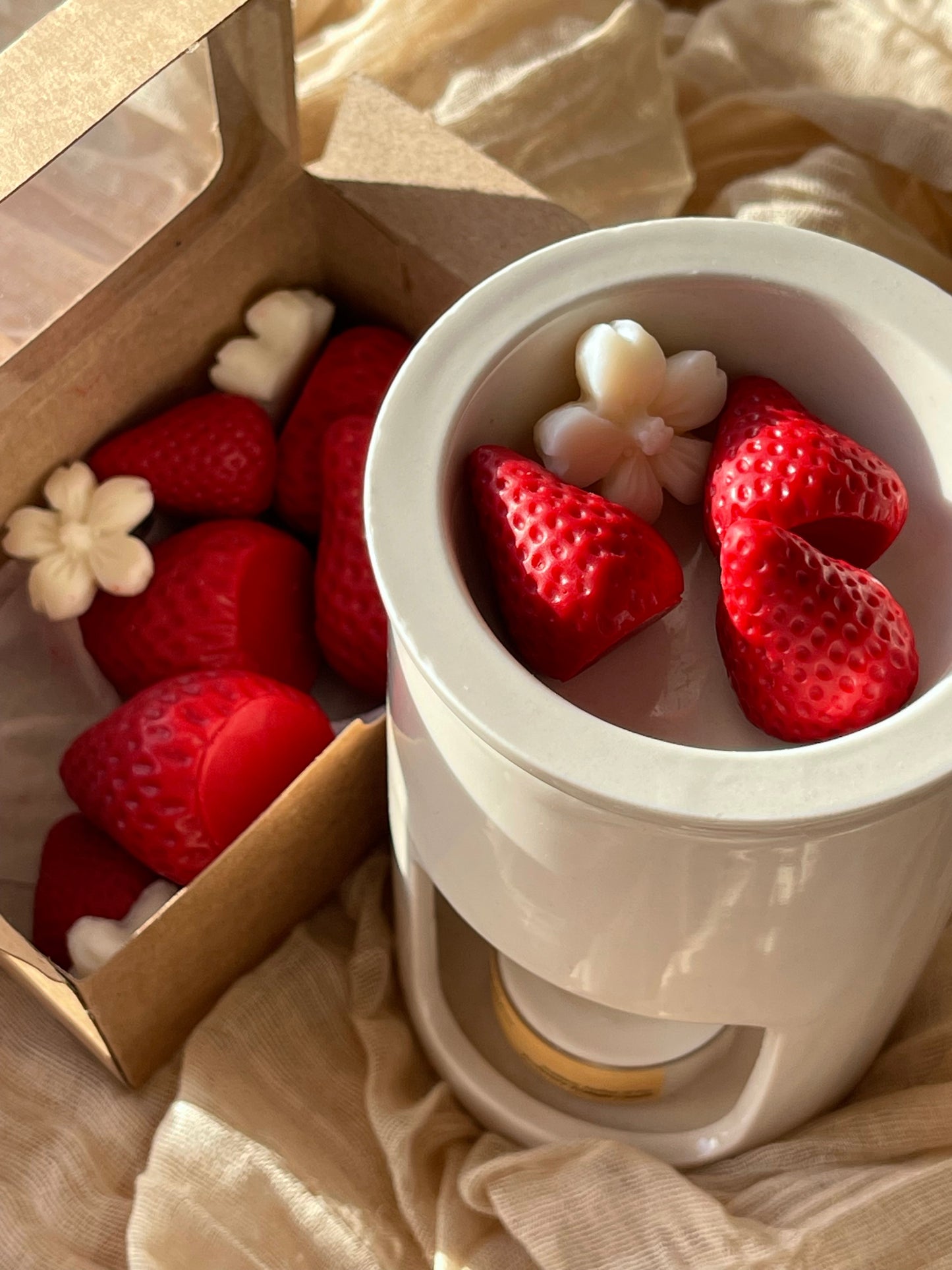 Wax Melts Cera Ultra Perfumada para Derretimento | n°06 Afeto - Morangos Silvestres