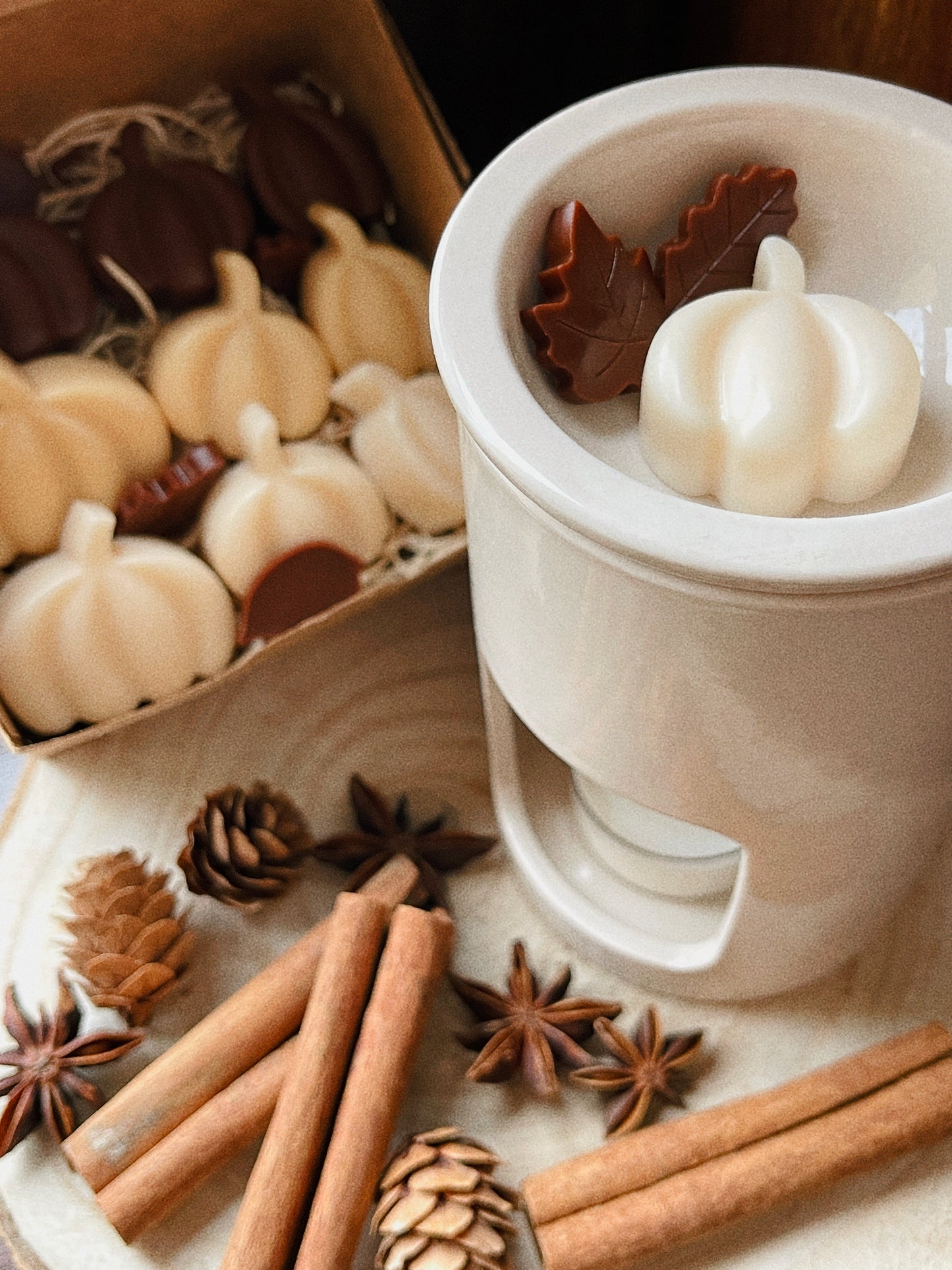 Wax Melts Cera Ultra Perfumada para Derretimento | n°10 Encanto - Torta de Abóboras