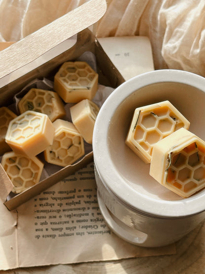 Wax Melts Cera Ultra Perfumada para Derretimento | n°08 Essência - Citronela e Alecrim