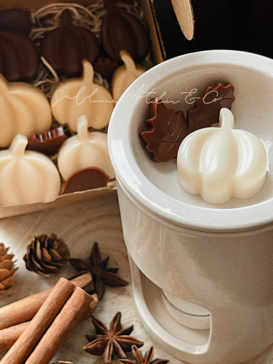 Wax Melts Cera Ultra Perfumada para Derretimento | n°10 Encanto - Torta de Abóboras