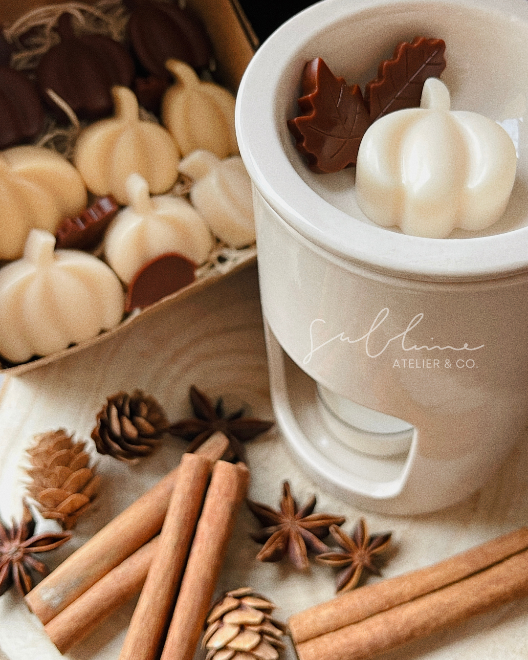 Wax Melts Encanto - Tortinha de Abóboras