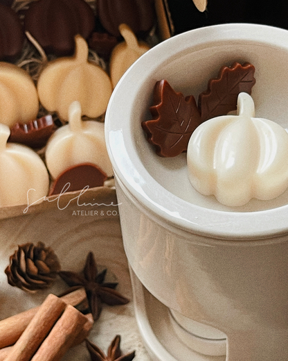 Wax Melts Encanto - Tortinha de Abóboras